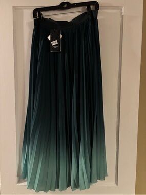 Weekend Max Mara Teal to Mint Ombre Pleated Midi Skirt NWT